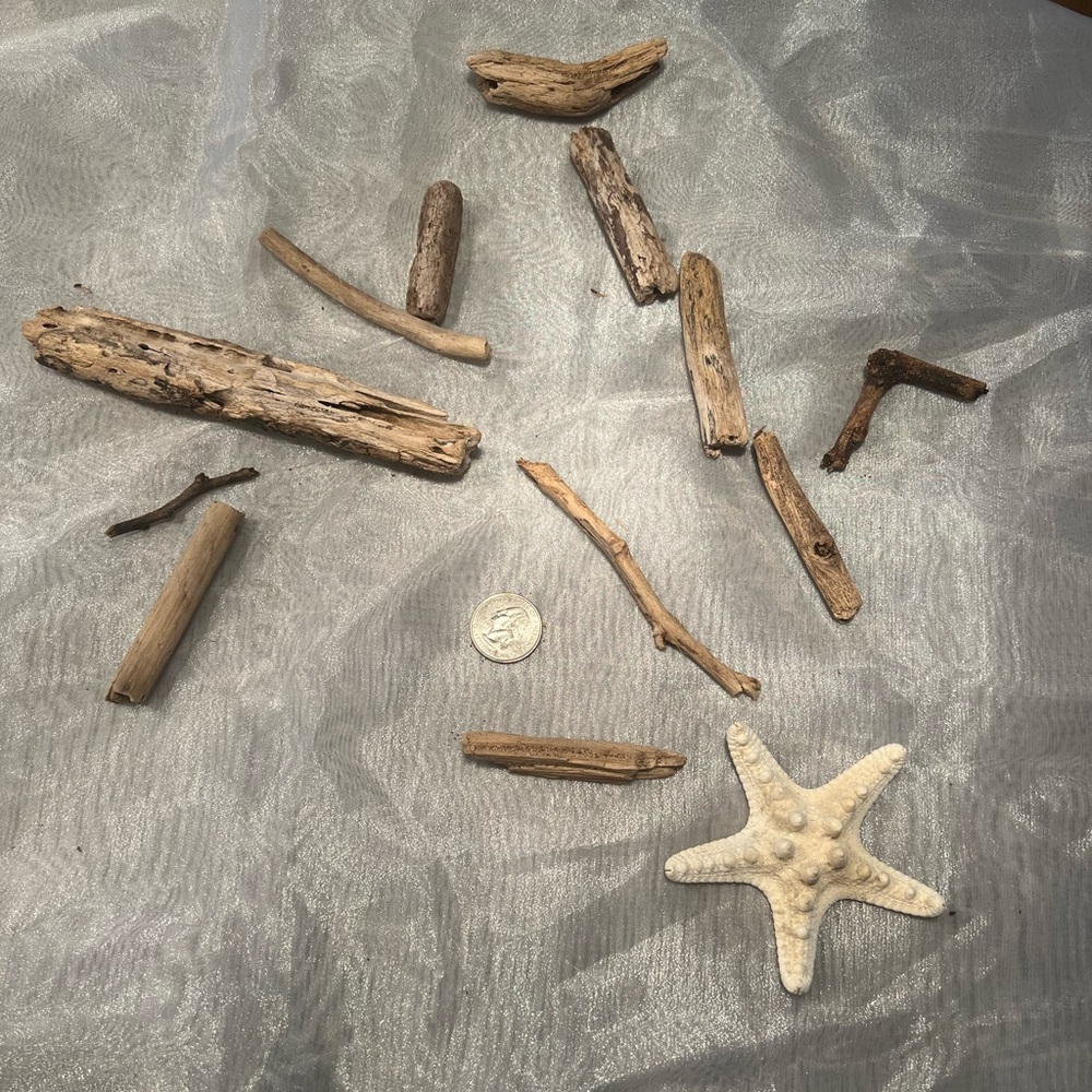 #F. Driftwood and ocean decor